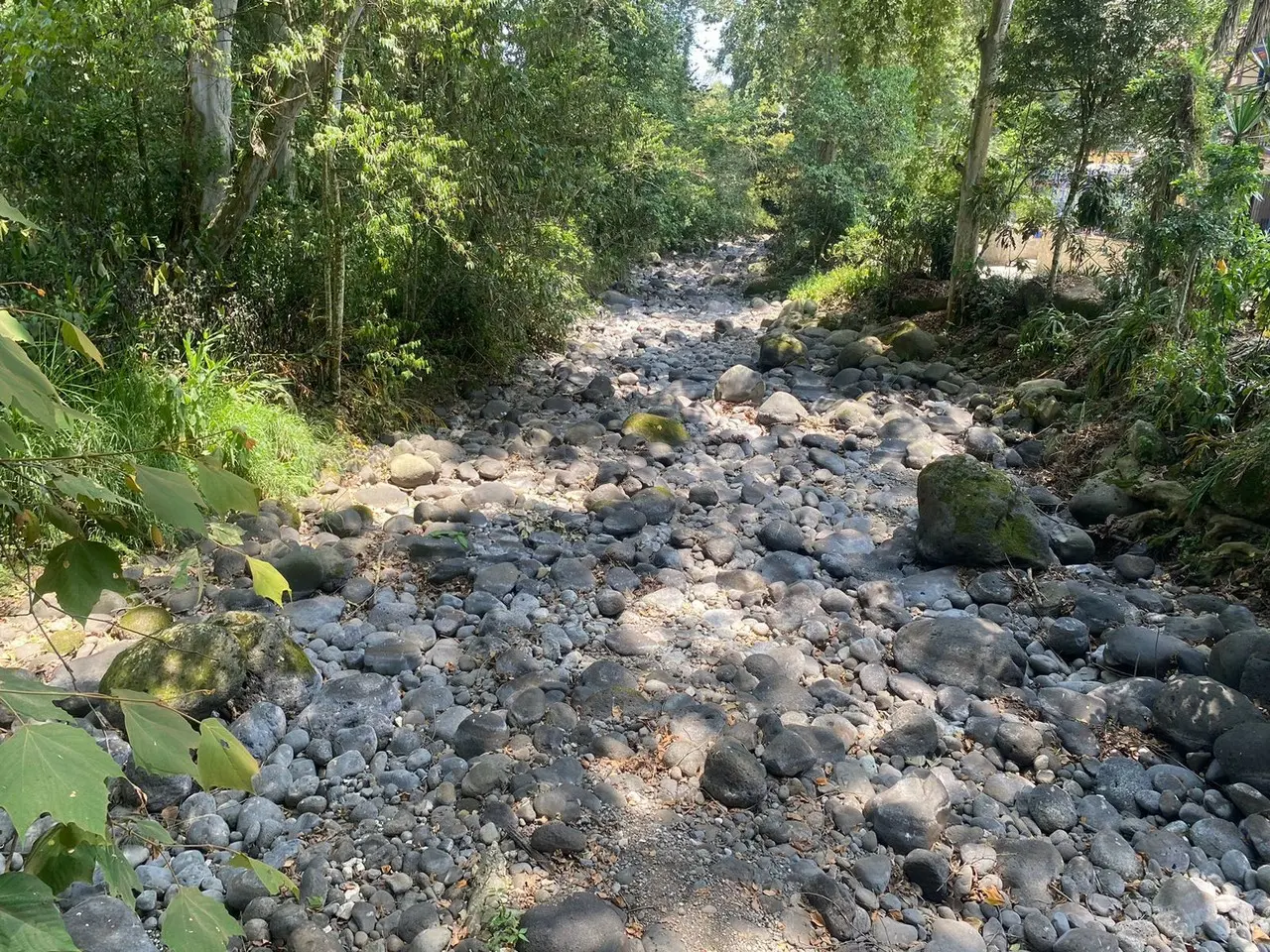 El cambio climático es el problema central ya que provoca alteraciones de lluvia en la región montañosa del Cofre de Perote Foto: Rosalinda Morales