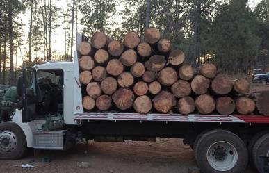 Golpe a los talamontes en Texcaltitlán, aseguran tres camiones y madera ilegal