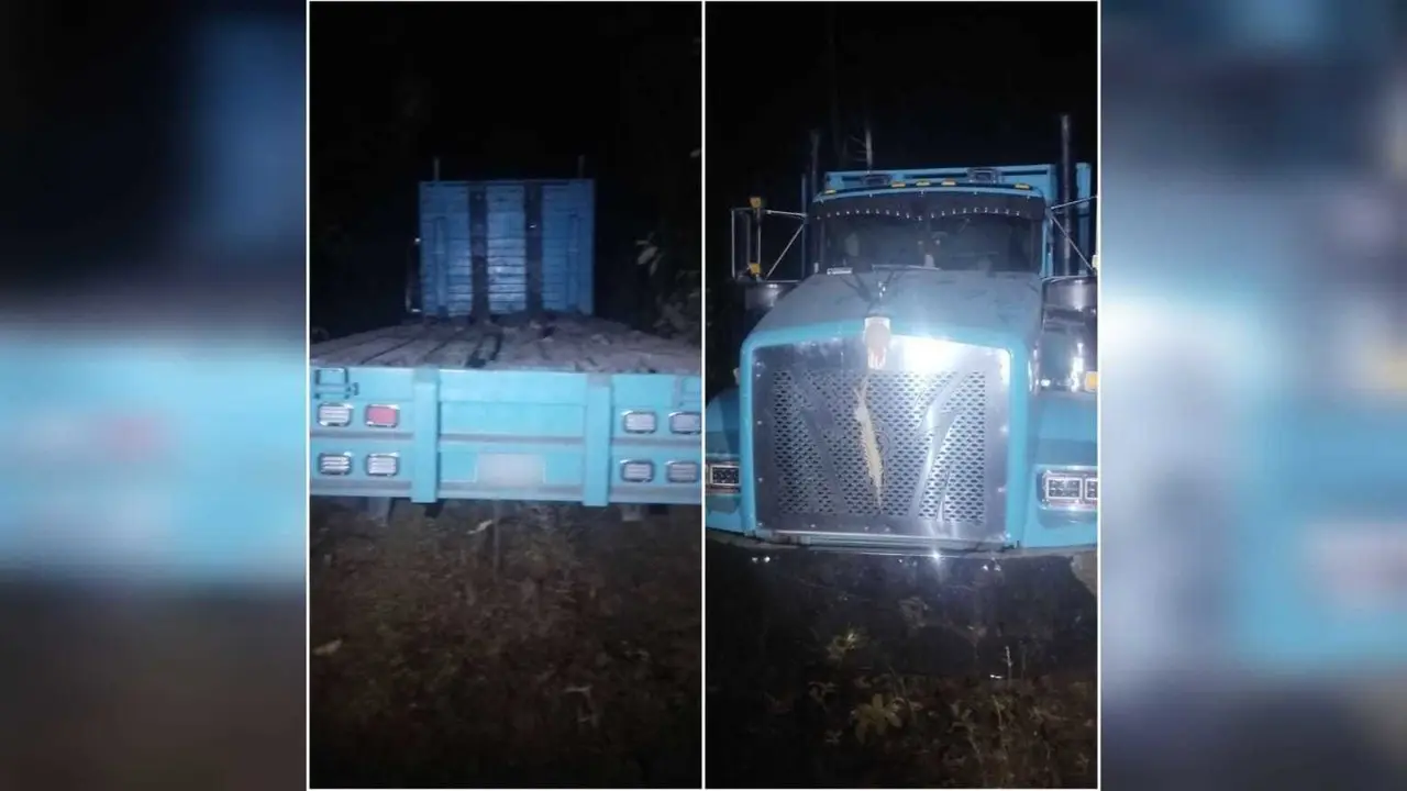 Golpe a los talamontes en Texcaltitlán, aseguran tres camiones y madera ilegal