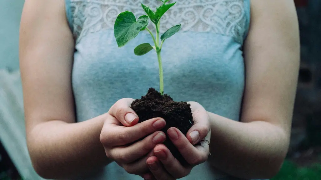 Día de la Tierra 2024: ¡conciencia sobre los microplásticos!