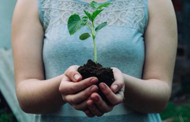 Día de la Tierra 2024: ¡conciencia sobre los microplásticos!