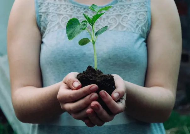 Día de la Tierra 2024: ¡conciencia sobre los microplásticos!