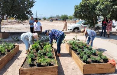 Instalan huerto comunitario y reforestan parque Las Alamedas en Torreón