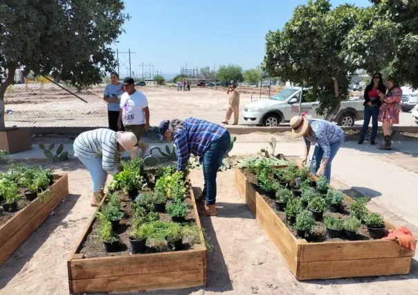 Instalan huerto comunitario y reforestan parque Las Alamedas en Torreón