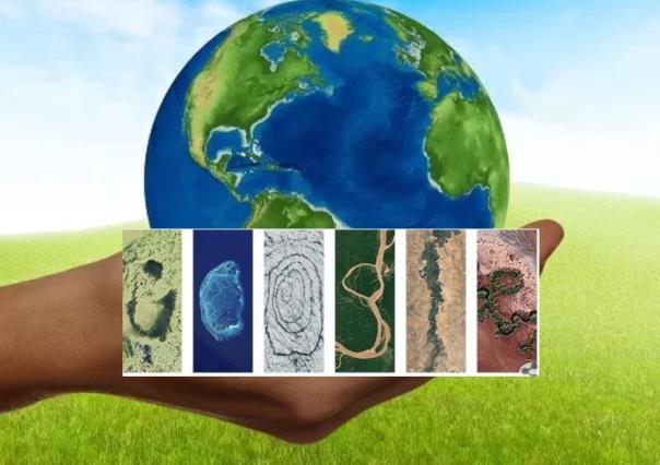 Lanza Google doodle por el día de la Tierra