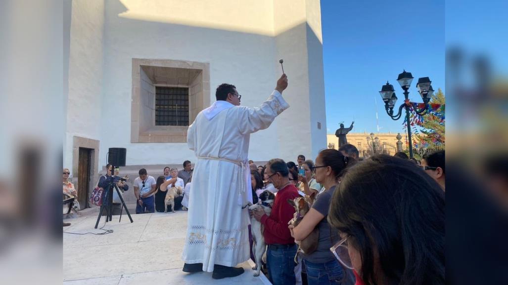 Bendicen a mascotas de Durango por día de San Jorge Bendito