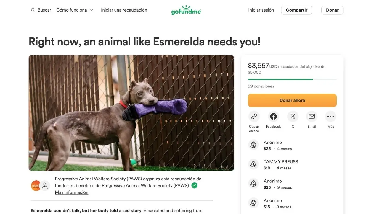 La llegada de GoFundMe a México representa una oportunidad para aquellos que necesitan apoyo financiero en situaciones de emergencia y gastos médicos. Foto: Especial.