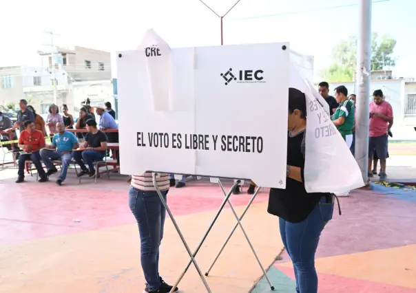 Participarán integrantes de Amever como observadores electorales el 2 de junio