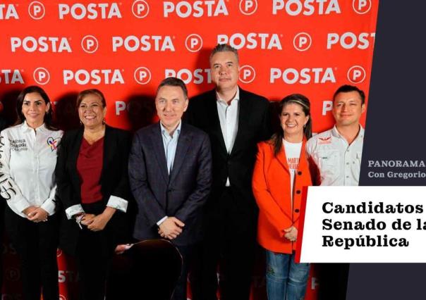 PANORAMA 24: candidatas y candidatos de Nuevo León al Senado en POSTA