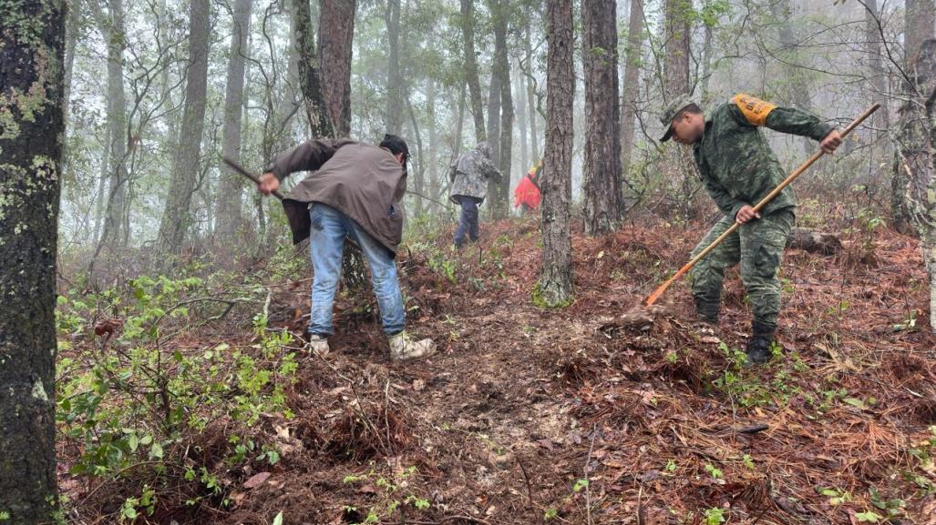 Aplica Ejército Plan DN-III-E en Güemez por incendio forestal