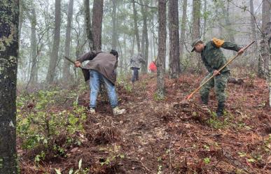 Aplica Ejército Plan DN-III-E en Güemez por incendio forestal