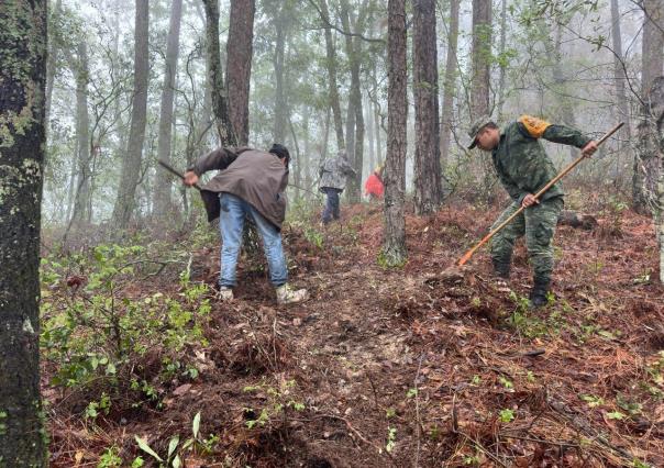 Aplica Ejército Plan DN-III-E en Güemez por incendio forestal