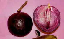 Caimito morado de Yucatán: propiedades y beneficios para la salud