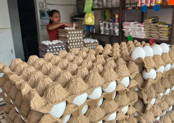 Tapa de huevo, un lujo en el sur de Tamaulipas