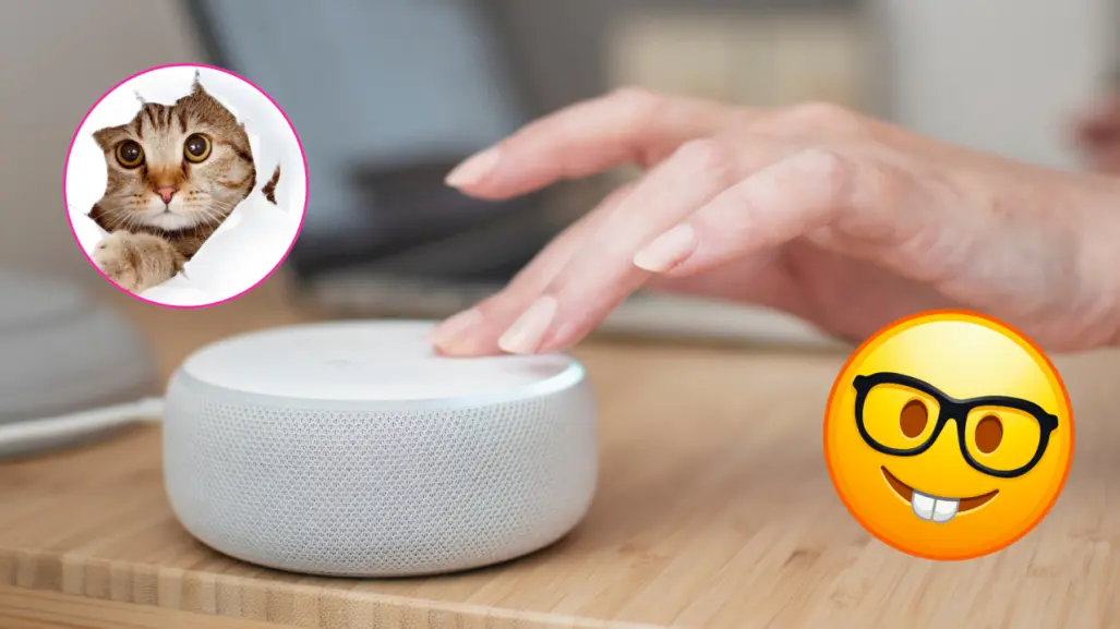 Descubre los usos escondidos de tu Alexa