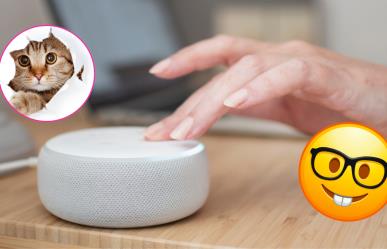 Descubre los usos escondidos de tu Alexa