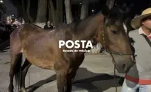 Intercambian equinos por motocarros en Los Reyes La Paz
