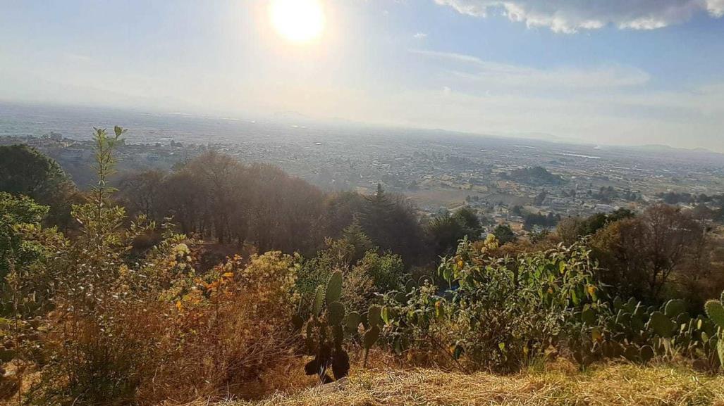 Integran a la Constitución mexiquense los derechos de la Naturaleza