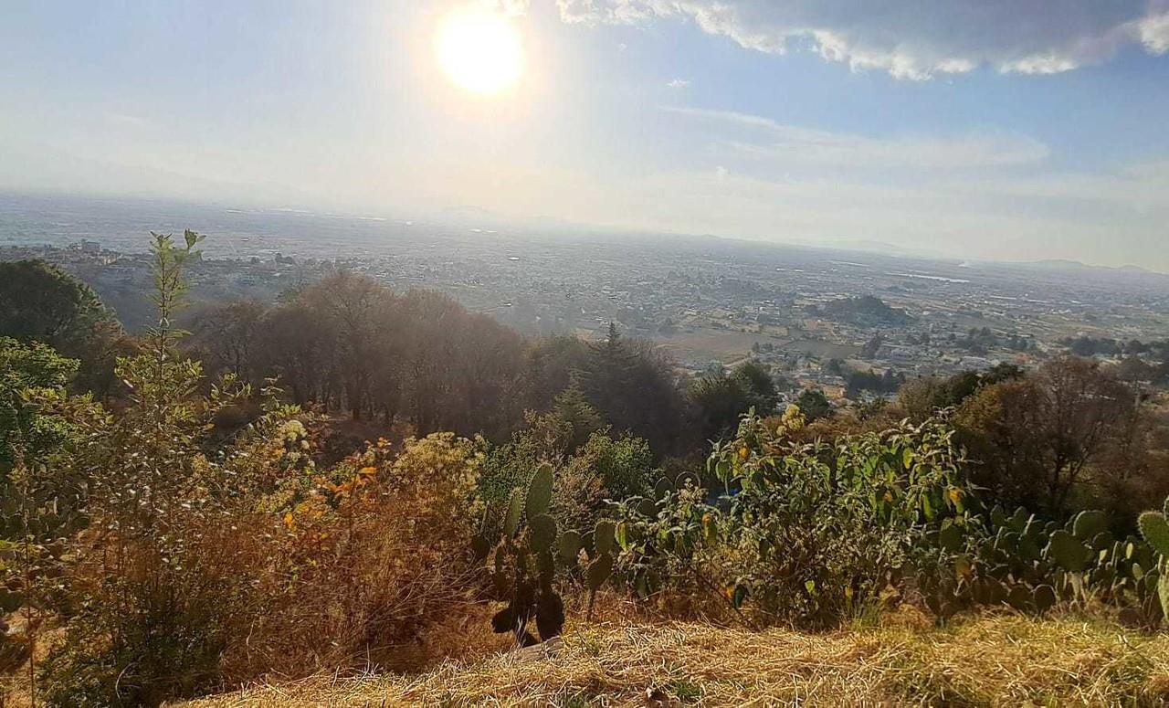 Integran a la Constitución mexiquense los derechos de la Naturaleza. Foto: POSTA