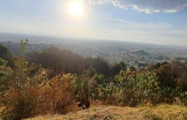 Integran a la Constitución mexiquense los derechos de la Naturaleza