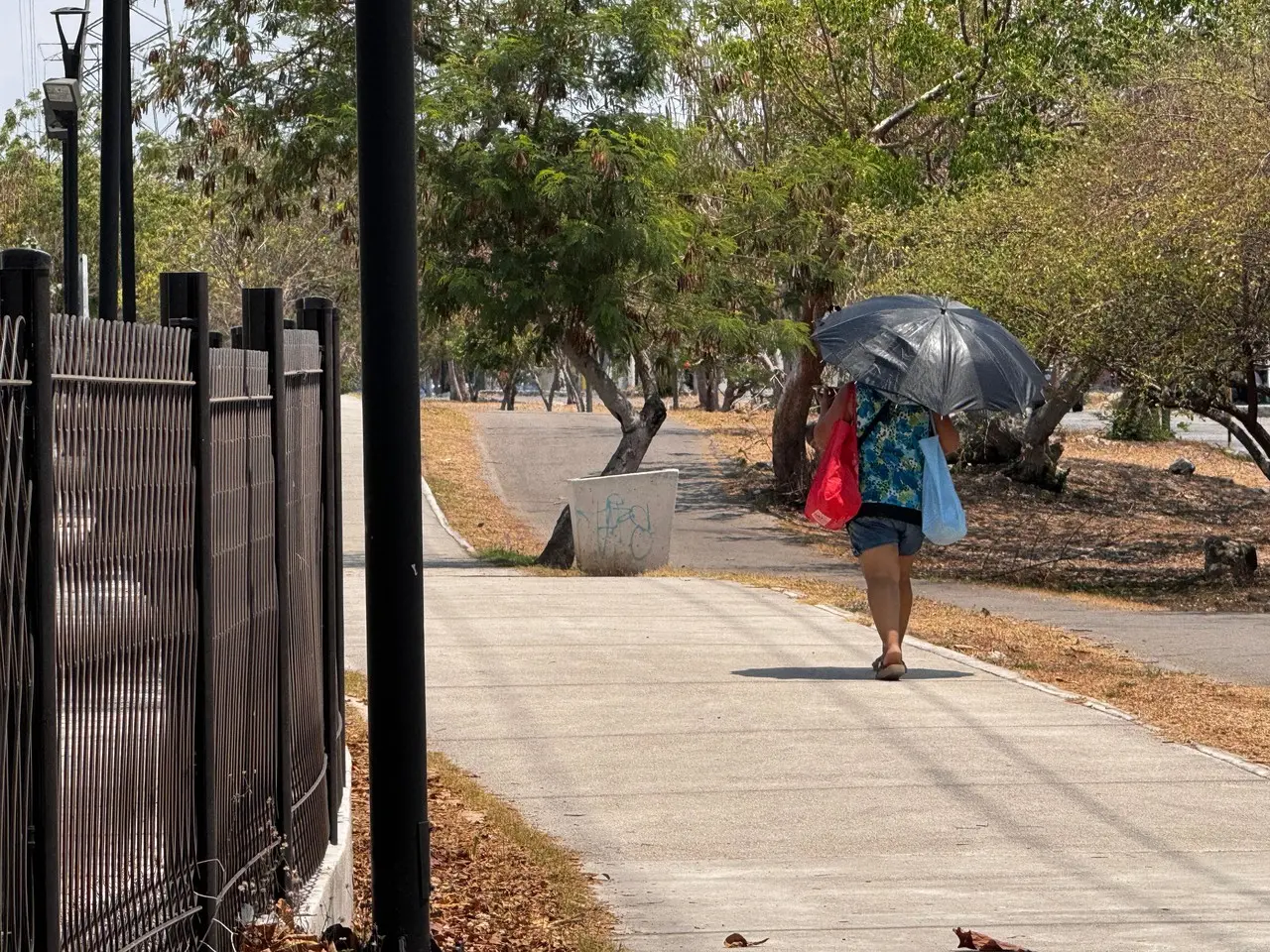 Se recomienda no exponerse al sol en las horas cuando el calor está más fuerte Fotos: Irving Gil