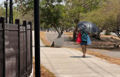 Males estomacales, principales enfermedades a causa del calor extremo