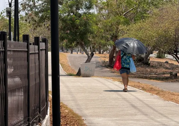 Males estomacales, principales enfermedades a causa del calor extremo