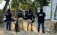 Aseguran más de 360 kilogramos de drogas entre cannabis y cristal en Mérida
