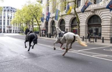 Caballos sueltos siembran el caos en Londres (VIDEO)