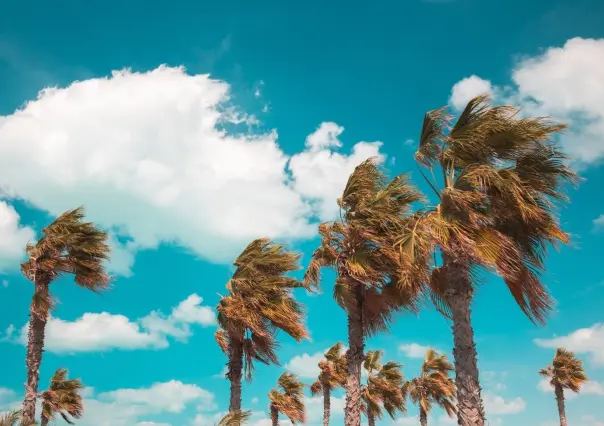 Posibles lluvias aisladas y rachas de viento fuerte en Tamaulipas