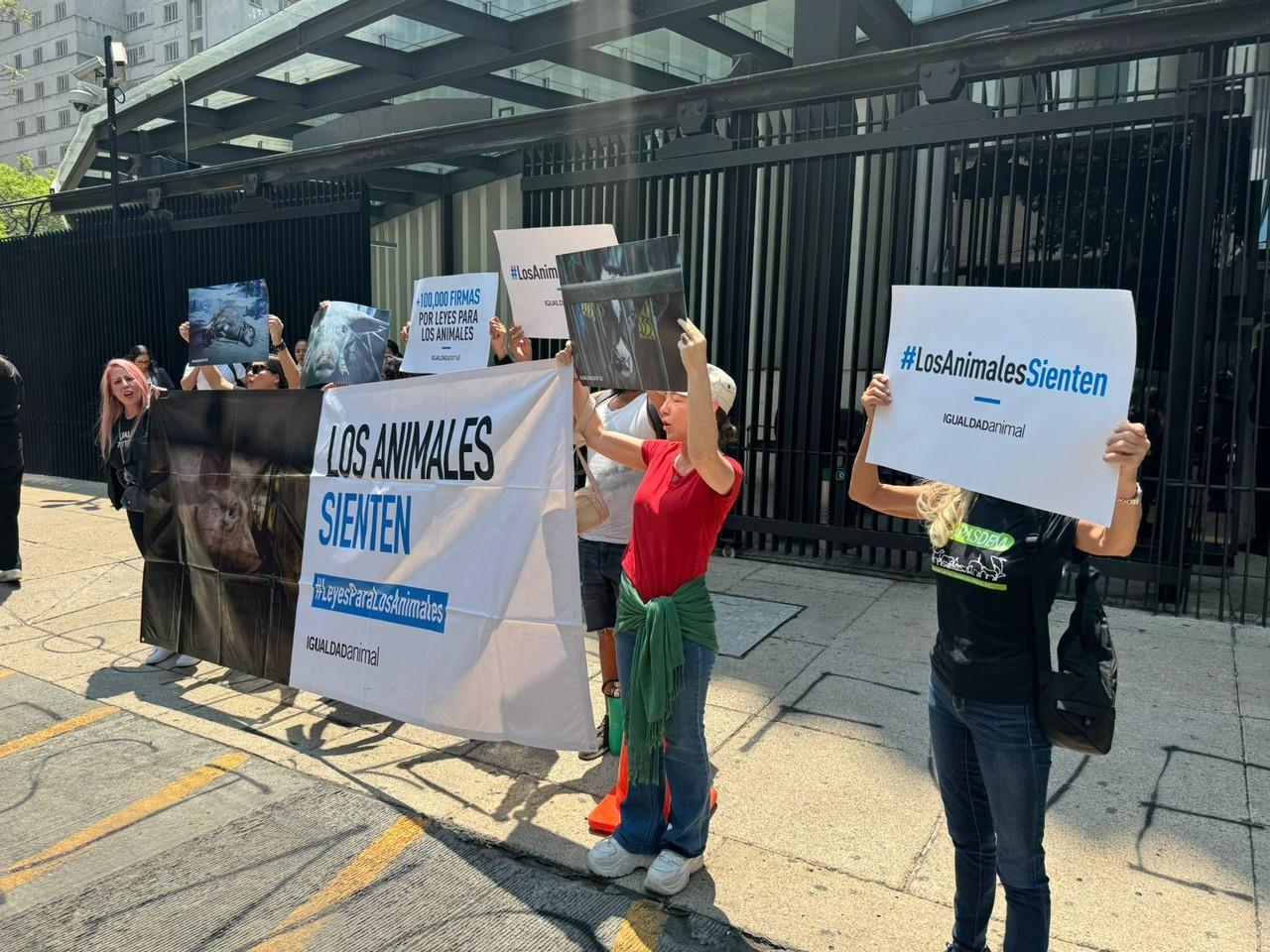 Diversos defensores de animales se presentaron a las afueras del Senado. Foto: Ramón Ramírez