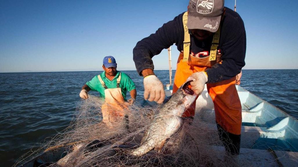 Pescadores denuncian que hay pesca furtiva en Celestún