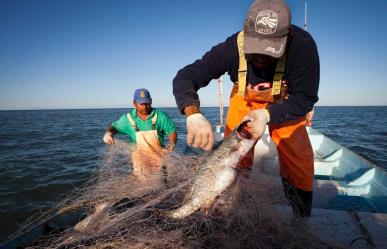 Pescadores denuncian que hay pesca furtiva en Celestún