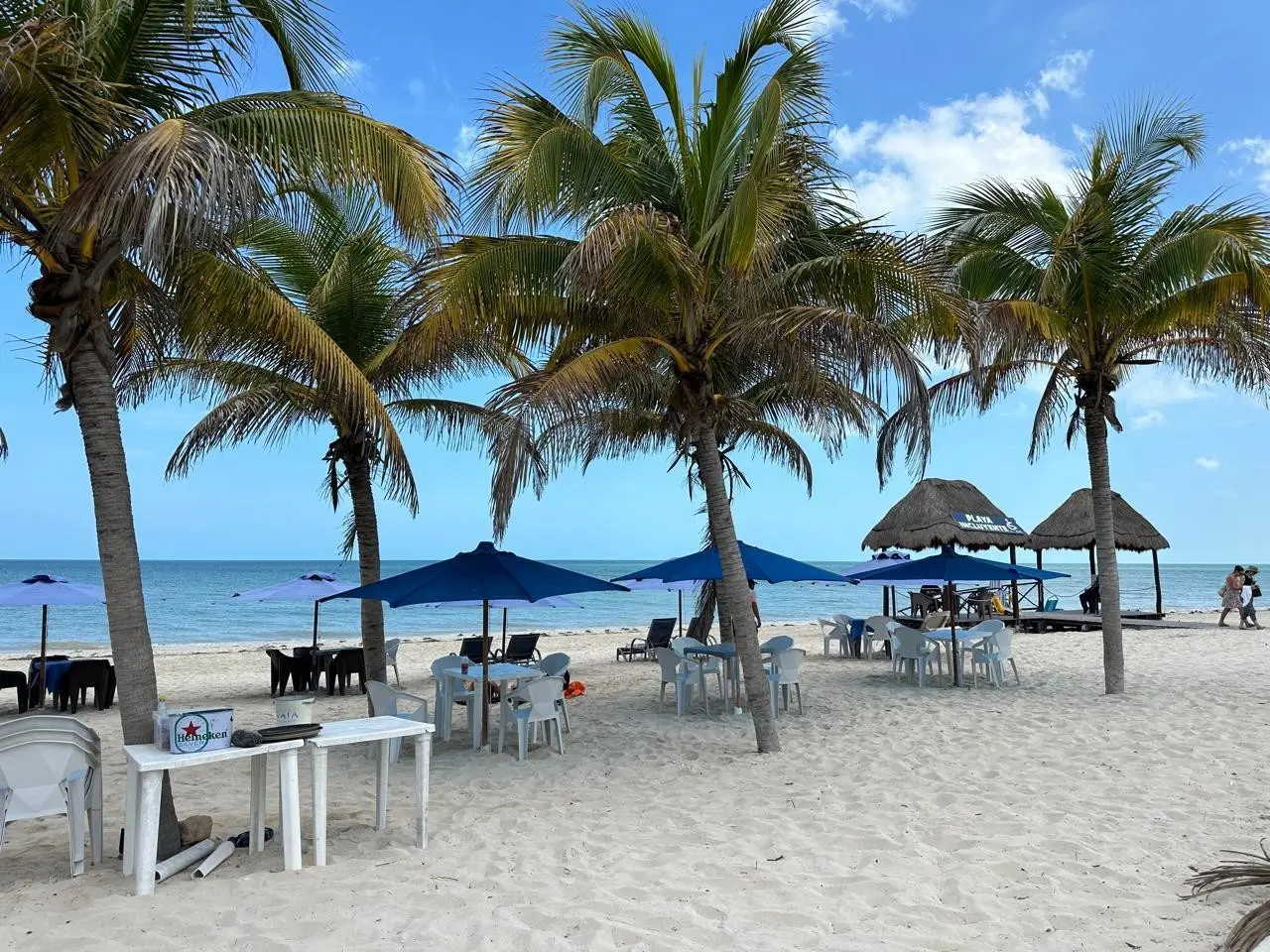 El sargazo que llega al caribe mexicano y el que llega a Yucatán no es el mismo. Foto: Héctor Guarepo