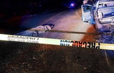 Provoca cocodrilo fatal accidente en Sinaloa; tres personas murieron