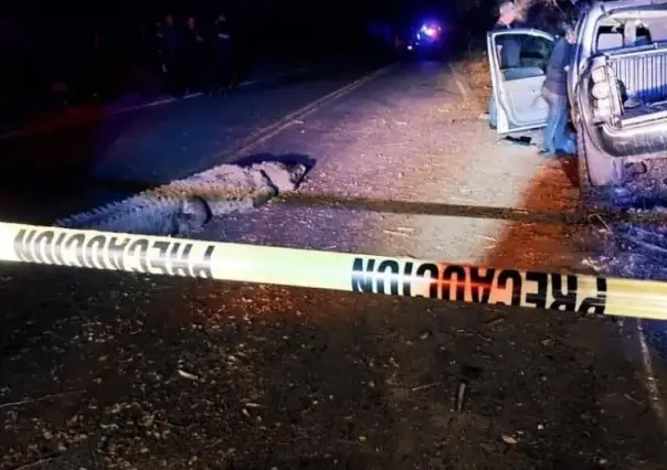 Provoca cocodrilo fatal accidente en Sinaloa; tres personas murieron