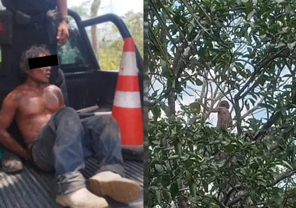 Arrestado tras tratar de escapar de la policía trepando un árbol en Tizimín