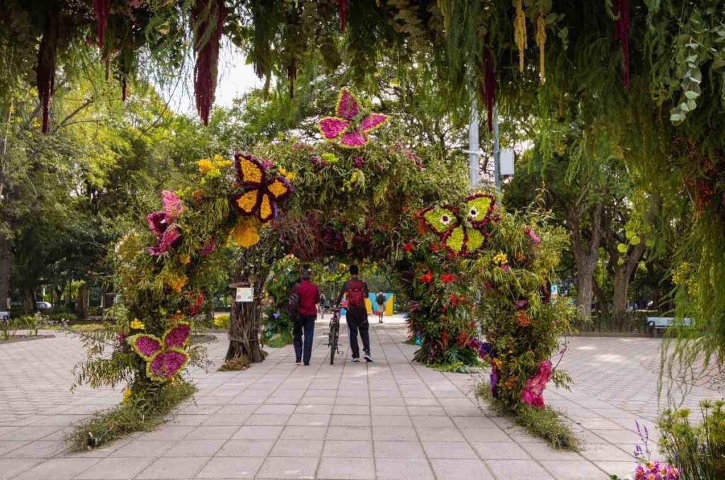 Ve y llénate de flores en Polanco, este fin de semana