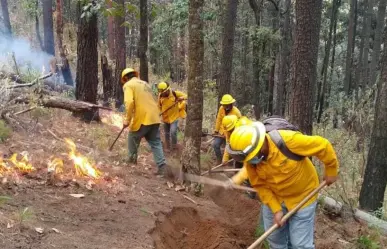 Combaten 4 incendios forestales en Edomex, van a la baja