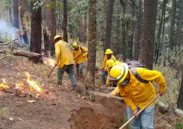Combaten 4 incendios forestales en Edomex, van a la baja