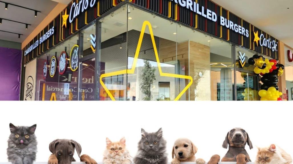 Carls Jr México, tiene nuevas áreas Pet Friendly