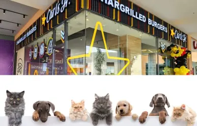 Carls Jr México, tiene nuevas áreas Pet Friendly