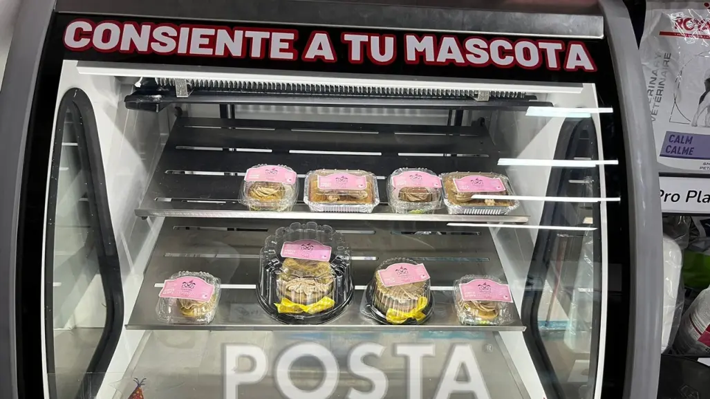 ¿Buscas un pastel para ti y tu mascota? Aquí te decimos dónde