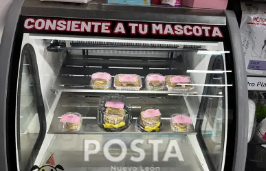 ¿Buscas un pastel para ti y tu mascota? Aquí te decimos dónde