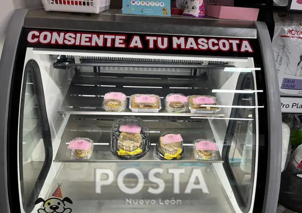 ¿Buscas un pastel para ti y tu mascota? Aquí te decimos dónde