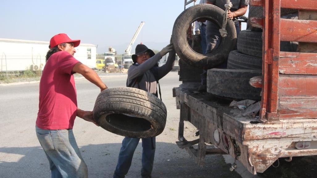 Santa Catarina y Estado recolectan 200 toneladas de basura