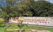 Zoológico de Tizimín tiene un nuevo inquilino, descubre de quién se trata