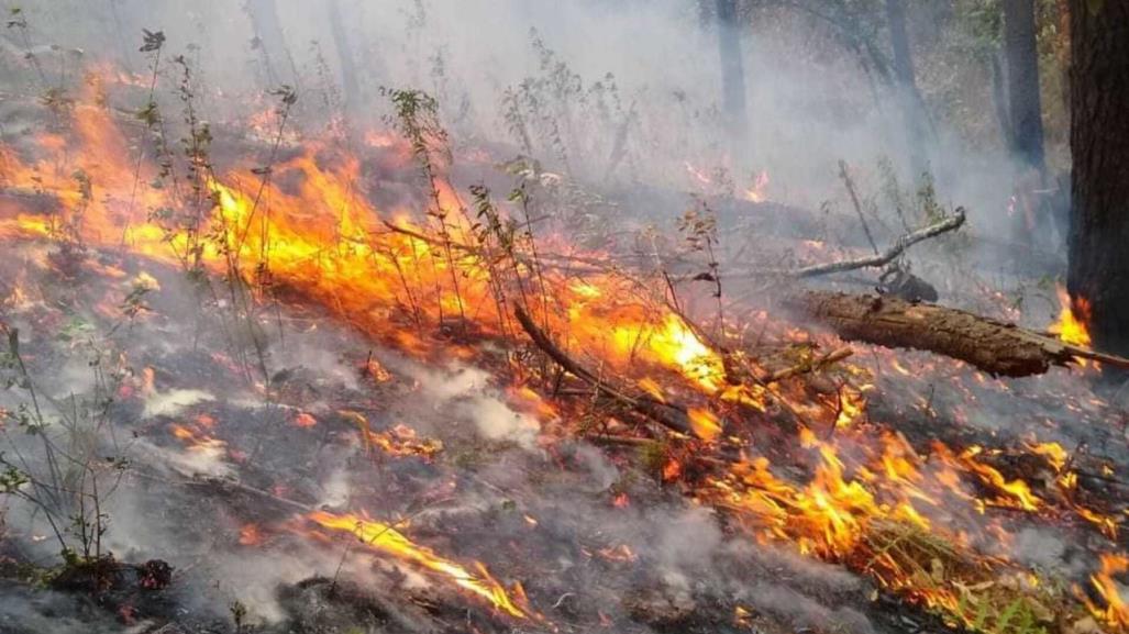 Liquidan seis incendios forestales en Edomex