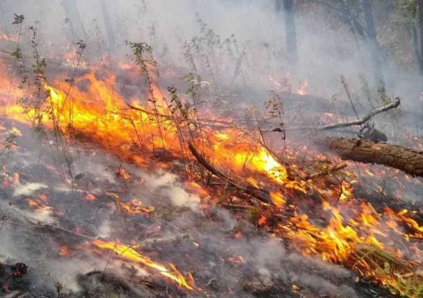 Liquidan seis incendios forestales en Edomex