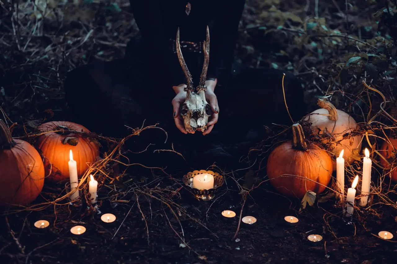 Preparan Bruja Fest. Foto de Pexels.